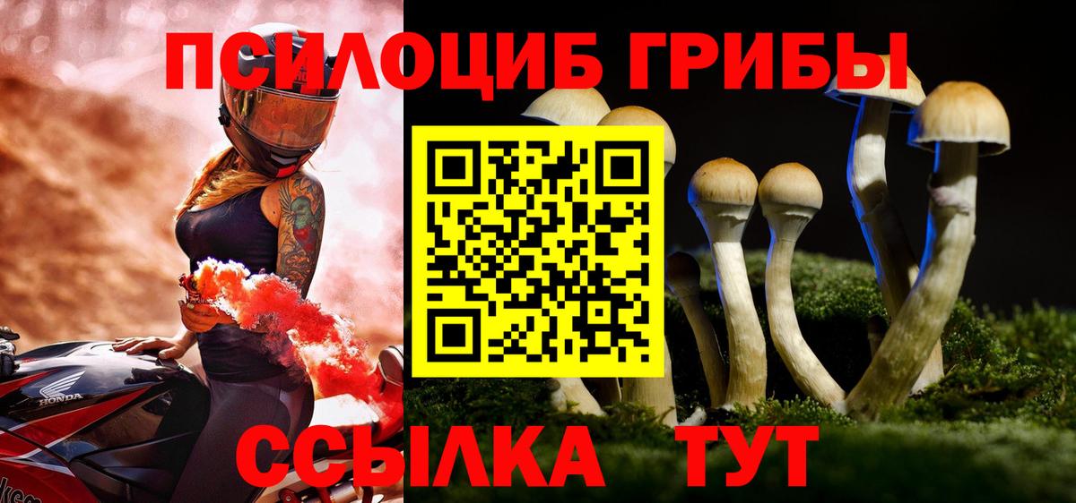 Галлюциногенные грибы Psilocybine cubensis Луховицы