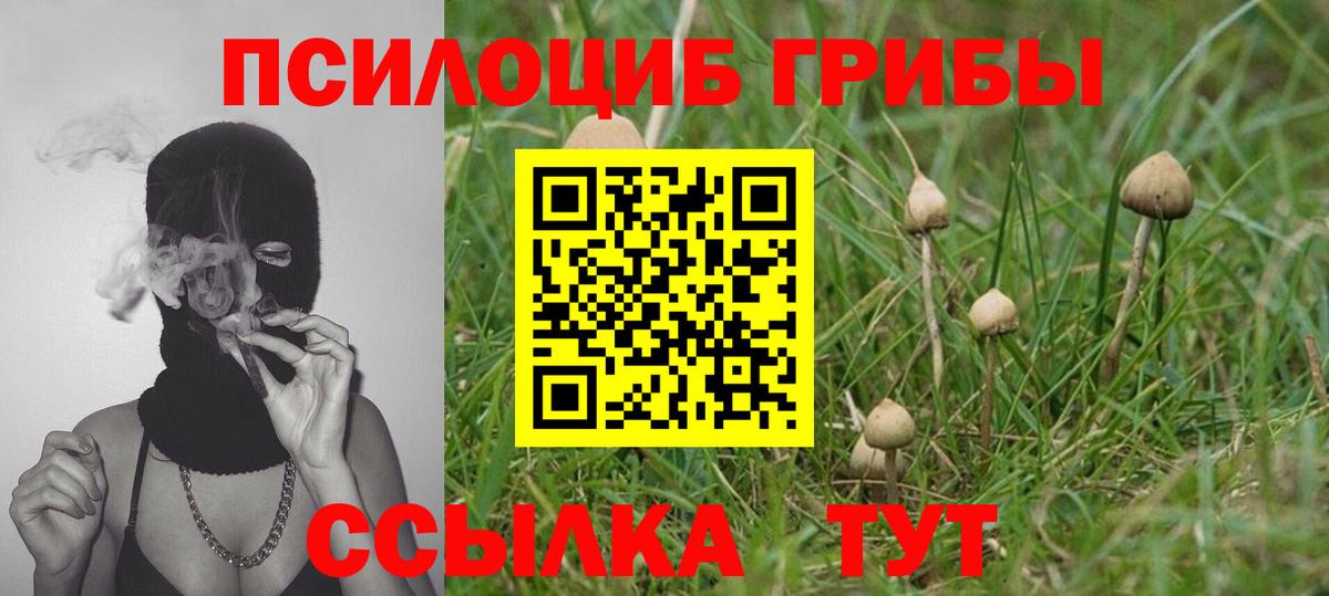 Луховицы  купить закладку  Вход с VPN  Псилоцибиновые грибы Magic Shrooms 